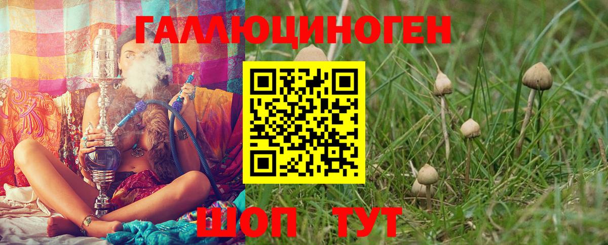 Лсд 25  MDMA  Вход с VPN  Меф   Alpha-PVP СК   Бошки Шишки  ГАШИШ  Камень-на-Оби  COCAIN 