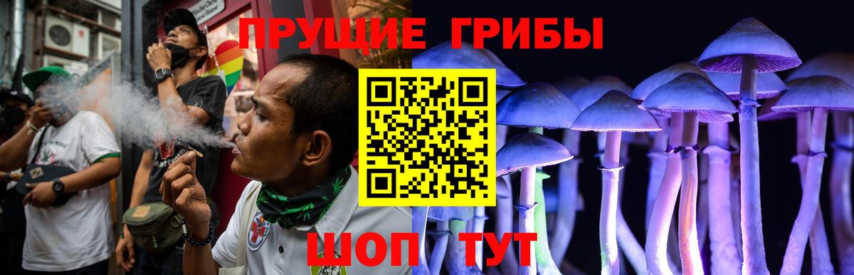 Галлюциногенные грибы Magic Shrooms Камень-на-Оби