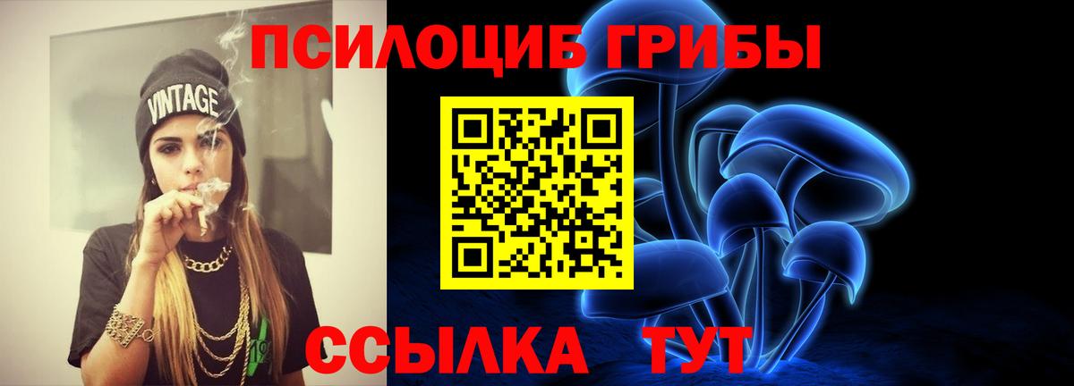 Камень-на-Оби  Псилоцибиновые грибы Cubensis  Вход с VPN 